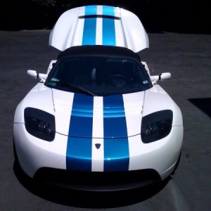 Arctic White with Electric Blue stripes