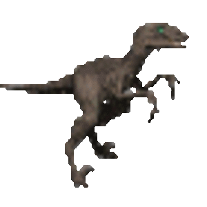 Raptor 76by64
