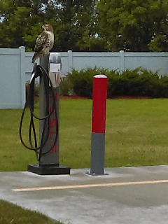 Charge Station Hawk